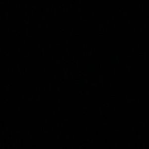 Meet your Posher, Max